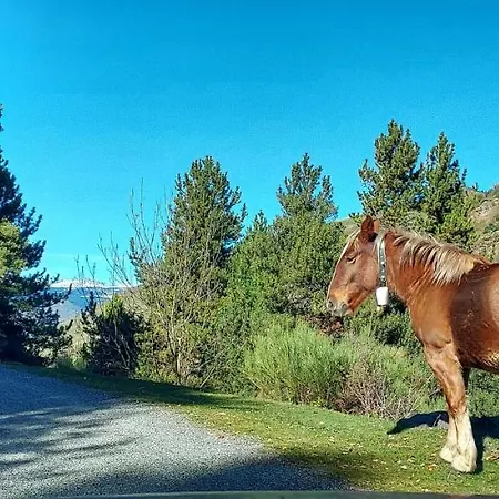 Charming In The Pyrenees *