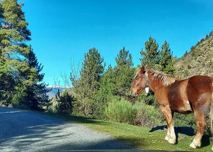 Charming In The Pyrenees *